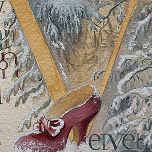 Velvet Shoes